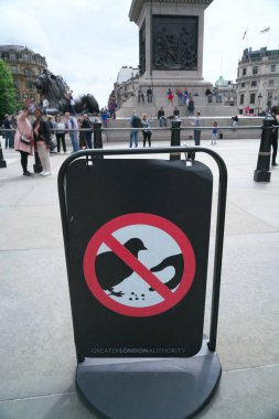 Değil yem güvercinler Londra'da oturum açarım