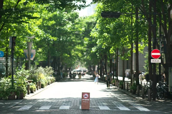 Marunouchi, Tokyo öğle saatinde sırasında yaya bölgesi