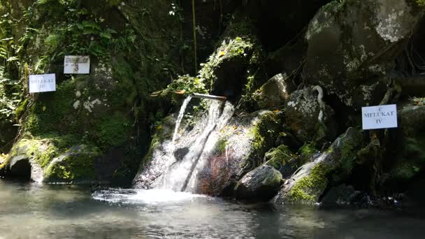 Agua para ritual de purificación en Pura Tirta Sudamala, Bangli, Bali — Vídeos de Stock