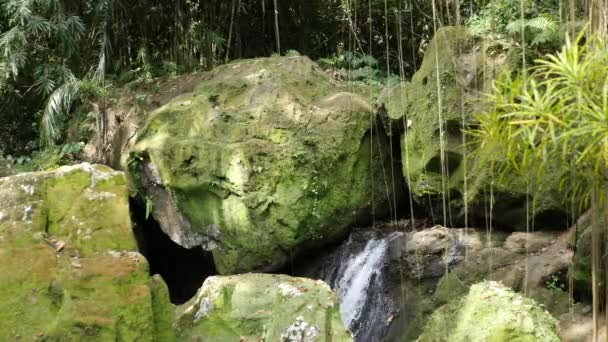 Tavaszi közelében a szakadék a buddhista és a Hindu Templomok völgye: Goa Gajah, Bali — Stock videók