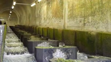 Balık merdiven Shiromaru Barajı 