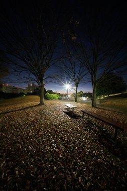 Tokyo, Japonya-Aralık 5, 2017: Bu gece yarısı ağır yağmur yağdı. Sonbahar yaprakları toprak ve yansıtan sokak ışıkları üzerinde güzel ıslak. 