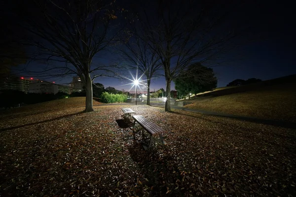 Tokio Japonsko Prosinec 2017 Silně Pršelo Půlnoci Podzimní Listí Krásně — Stock fotografie
