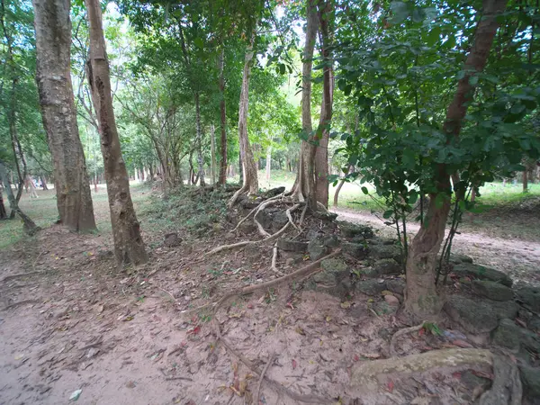 Кампонгтом Камбоджа Декабря 2017 Года Самбор Прей Кук Является Археологическим — стоковое фото