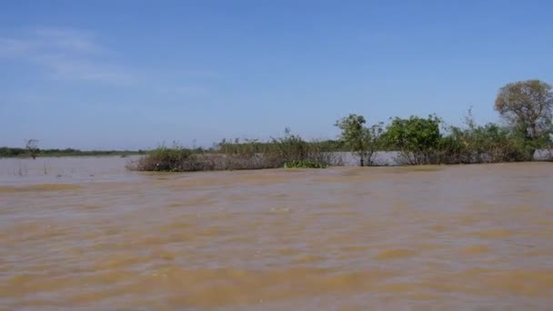 洞里萨湖 Sap 柬埔寨 2017年12月24日 许多树淹没在水位之下在雨季期间在洞里萨湖汁液河或湖 — 图库视频影像