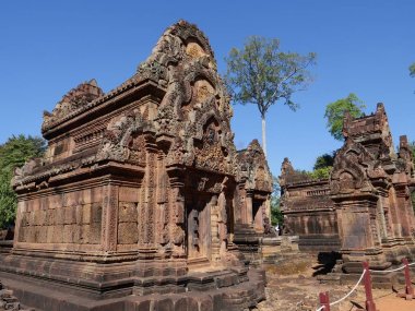 Siem Reap, Kamboçya-Aralık 23, 2017: Banteay Srei Hindu tanrısı Shiva adanmış bir 10 yüzyıla Kamboçyalı tapınak olduğunu. Goblen gibi duvarlar kapsayan pembemsi kumtaşı içinde oyulmuş karmaşık dekorasyonunda ünlüdür. 