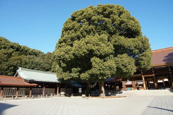 2018年1月12日 明治神祠主楼位于东京涩谷 本祠供奉明治皇帝的神化神灵 — 图库照片