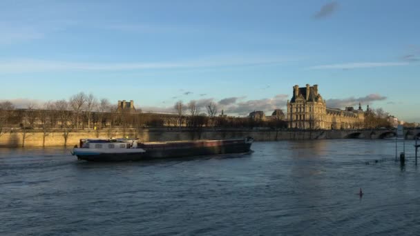 Παρίσι Γαλλία Ιανουαρίου 2018 View Του Ποταμού Saine Από Quai — Αρχείο Βίντεο