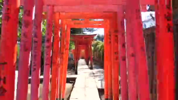 Tóquio Japão Fevereiro 2018 Lapso Tempo Caminhando Por Portões Torii — Vídeo de Stock