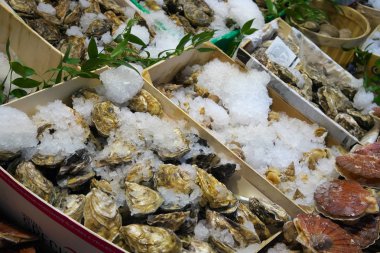 Paris, Fransa-Ocak 27 2018: Paris'te bir fishmongers sayaçta görüntülenen deniz ürünleri