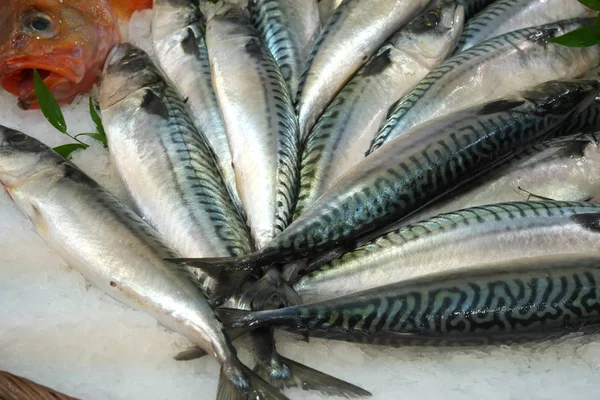 Paris França Janeiro 2018 Frutos Mar Exibidos Balcão Peixeiros Paris — Fotografia de Stock