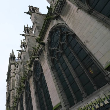 Paris, Fransa-Ocak 19, 2018: Fransa 'da bir Katolik kilisede ıslak gargoyles 