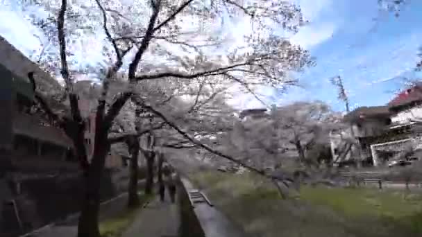 Токіо Японія Березня 2018 Сповільненої Зйомки Пішки Вздовж Річки Під — стокове відео