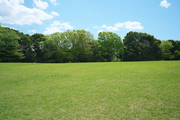 Tokyo, Japonya-Nisan 8, 2018: güneşli bahar sabahı ağaçlar Park çevrili yeşil çim.