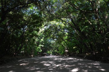 Aichi, Japonya-Mayıs 11,2018: Atsuta Şinto tapınak bir yaklaşım. Kimse yaklaşım üzerinde yürür sabahları çok erken.