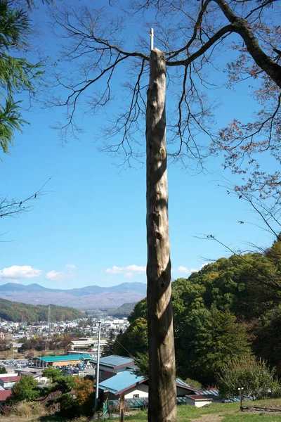 Tokio Japonsko Listopad 2019 Jedlový Pilíř Nebo Onbashira Mae Miya — Stock fotografie