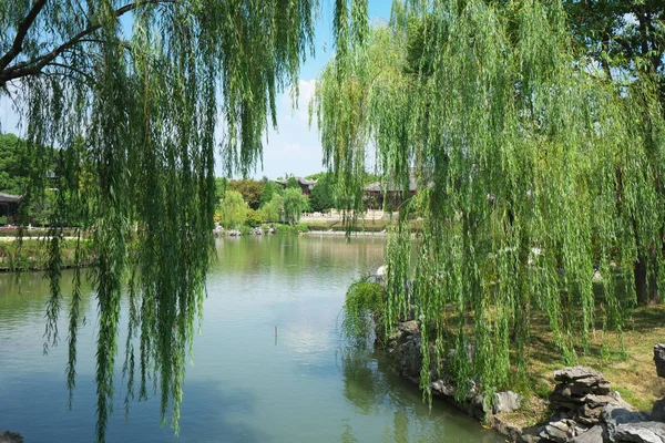2019 Suzhou China September 2019 Pond Garden Nan Men Suzhou — 스톡 사진