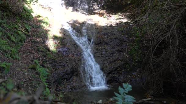 Kyoto Japan November 2019 Otonashi Wasserfall Oder Otonashi Taki Ohara — Stockvideo