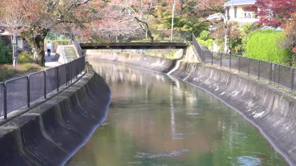 日本京都 2019年11月14日 秋天从京都亚穆希纳的安寿桥观看比瓦湖运河或比瓦科苏井 — 图库视频影像