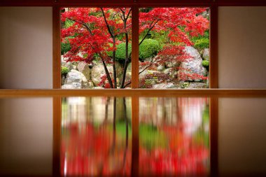 Gunma, Japonya-23 Kasım 2019: Emzirilmiş zemine sonbahar yapraklarının yansıması.