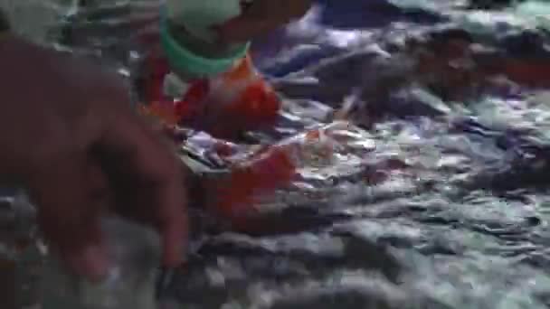 Chachengsao Thajsko Prosince 2019 Krmení Ryb Bazénu — Stock video