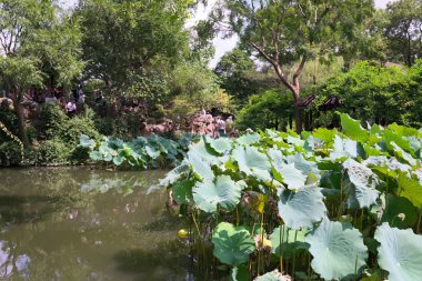 Suzhou, Çin-14 Eylül 2019: Liuyuan bahçesi veya Çin 'in Suzhou kentindeki dünya mirasından biri olan Oyalanan bahçesi