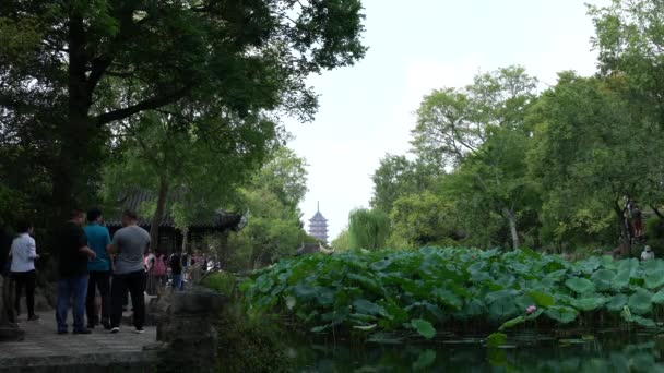 Suzhou China September 2019 Bescheidener Administrator Garten Oder Zhuozheng Yuan — Stockvideo