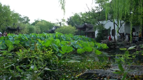 Suzhou China September 2019 Bescheidener Administrator Garten Oder Zhuozheng Yuan — Stockvideo