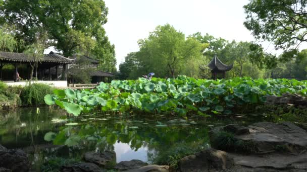 中国苏州 2019年9月17日 中国苏州的 谦恭管理员花园 庄政园 — 图库视频影像