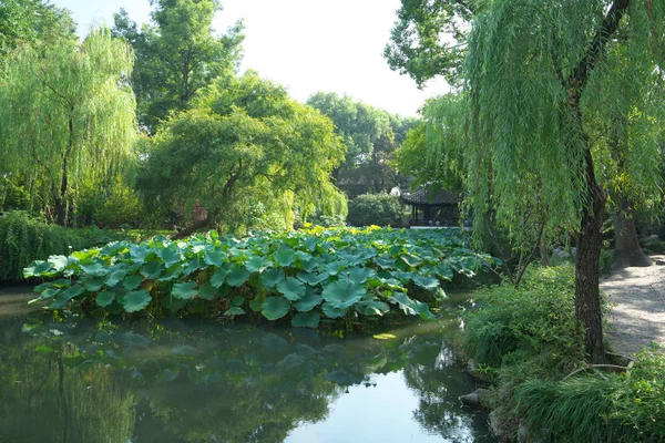 Suzhou Çin Eylül 2019 Mütevazı Yöneticinin Bahçesi Veya Çin Suzhou — Stok fotoğraf