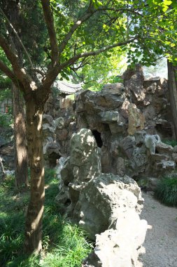 Suzhou, Çin-17 Eylül 2019: Çin 'in Suzhou kentindeki Aslan Ormanı Bahçesinde Taihu taşları