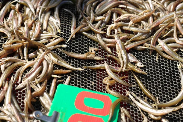 Chachoengsao Thailand December 2019 Fish Sold Open Market Chachoengsao Thailand — Stock Photo, Image