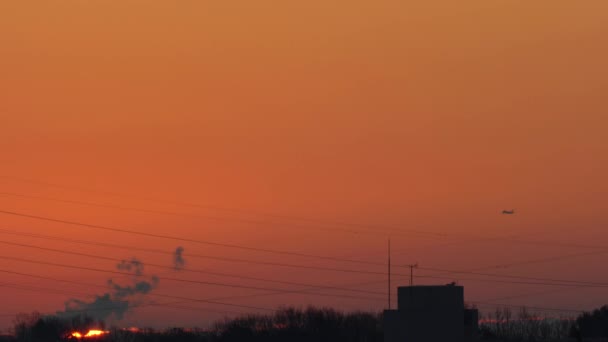 Tokyo Giappone Gennaio 2020 Aereo Che Avvicina All Aeroporto Internazionale — Video Stock