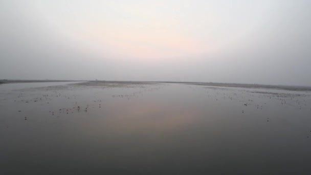 Udon Thani Thailand January 2020 Morning Scene Red Lotus Lake — 图库视频影像