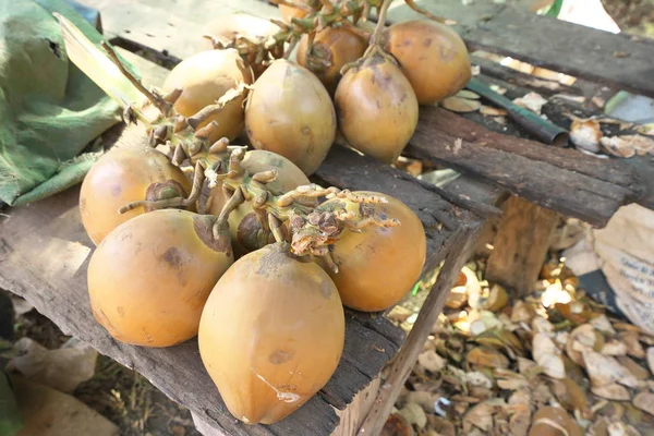 Kampong Thom Cambodia January 2020 Hatchet Coconuts Table Kampong Thom — 스톡 사진