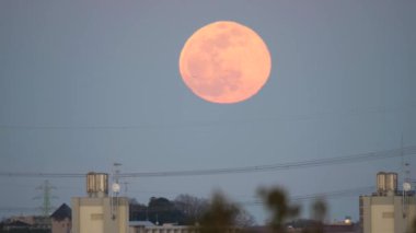 Tokyo,Japan-February 9, 2020: An aircraft approaching Haneda International airport crossing in front of the rising full moon in winter