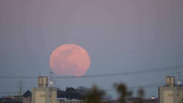 Tokyo Japan February 2020 Times Speed Full Moon Rising Suburb — Stock Video