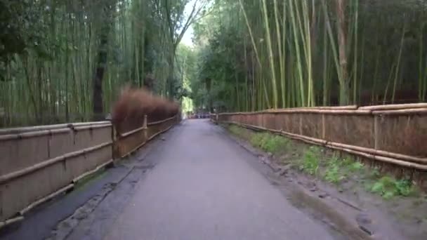 Kyoto Japan February 2020 10X Times Speed Way Bamboo Grove — Stockvideo