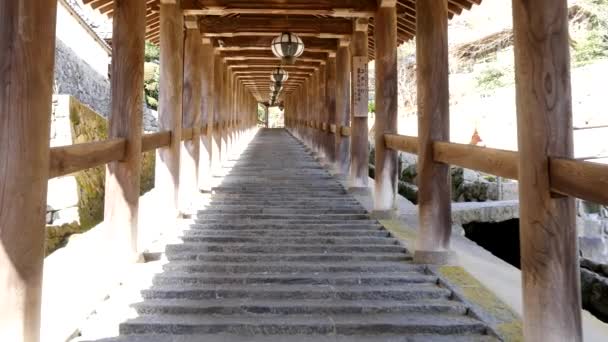 Nara Japón Febrero 2020 Escalones Piedra Ascendentes Del Templo Hasedera — Vídeo de stock