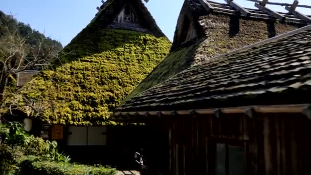 Kyoto Giappone Febbraio 2020 Villaggio Miyama Kayabuki Sato Miyama Kyoto — Video Stock