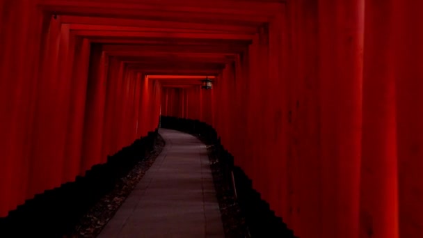 Japan February 2020 새벽에 교토의 신사에 Vermilion Torii 게이트를 지나다 — 비디오