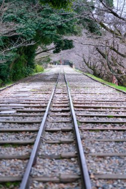 Kyoto, Japonya-29 Şubat 2020: Kyoto 'da sabah saatlerinde boş Keage Incline manzarası 