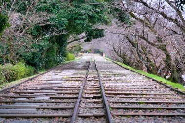 Kyoto, Japonya-29 Şubat 2020: Kyoto 'da sabah saatlerinde boş Keage Incline manzarası 