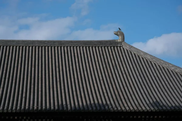 Nara Japonia Lutego 2020 Shibi Lub Tobinoo Dachu Głównej Sali — Zdjęcie stockowe