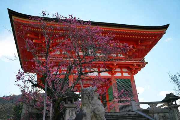 Japan February 2020 Kiyomizudera Temple Nioh Mon Gate Gate Deva — 스톡 사진