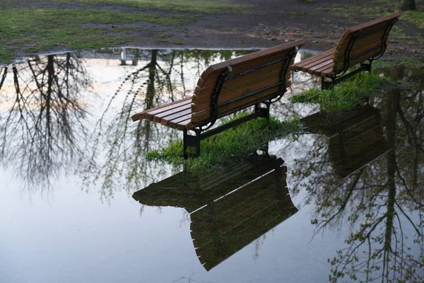 Tóquio Japão Abril 2020 Bancos Uma Poça Após Chuva Forte — Fotografia de Stock