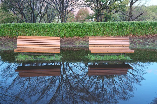 Tóquio Japão Abril 2020 Bancos Uma Poça Após Chuva Forte — Fotografia de Stock