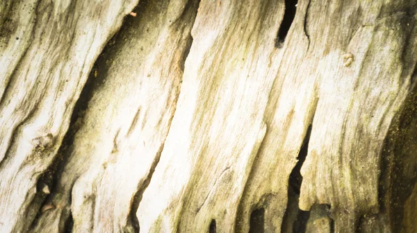 Fából készült háttér és textúra a fa. Felülnézet, és zárja be a fel és a sötét tónus — Stock Fotó