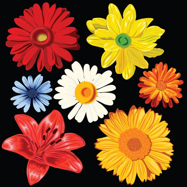 flower set from red,yellow,blue and white flowers