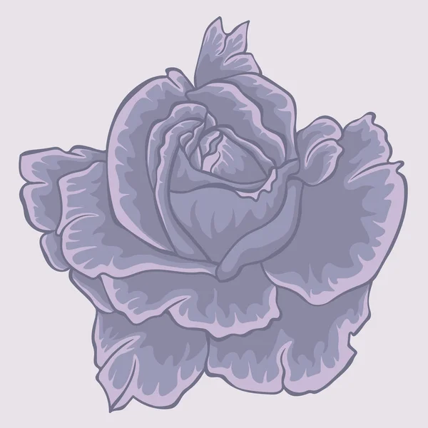 Вайолет Роуз. Изолированный цветок. Изолированная фиолетовая роза — стоковый вектор